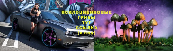 бошки Кукмор
