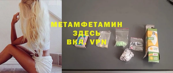шишки Бородино