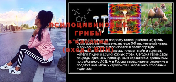 ALPHA PVP Куйбышев