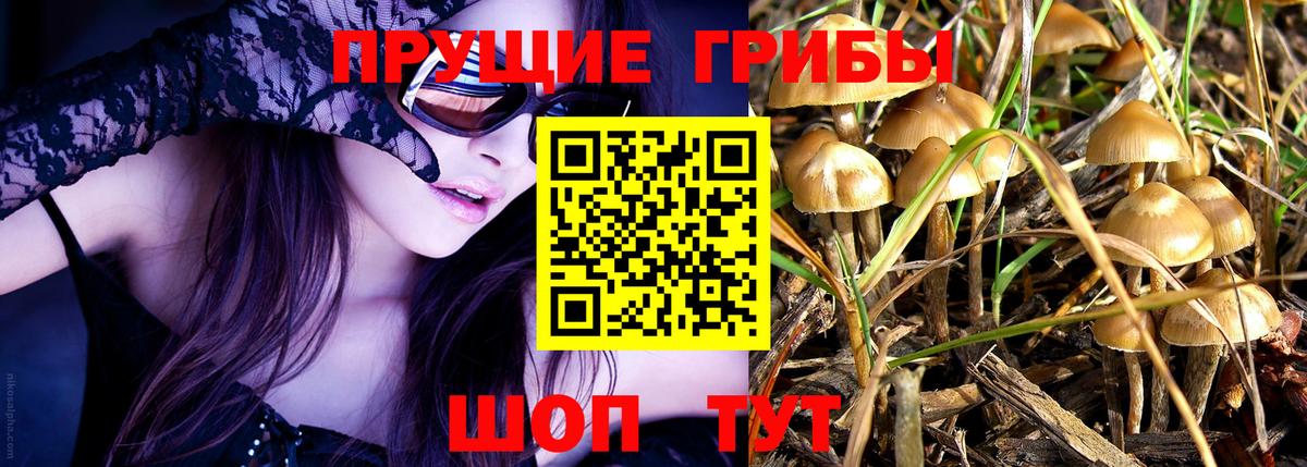 Шумерля  Псилоцибиновые грибы Magic Shrooms  наркота  Галлюциногенные грибы Psilocybe  Вход с VPN 